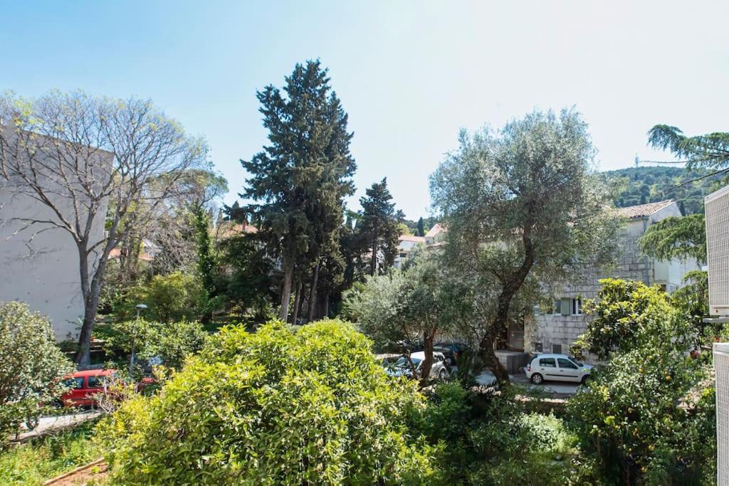 Lapad Cove Lejlighed Dubrovnik Eksteriør billede